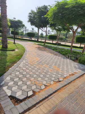 WhatsApp Image 2025-11-19 at 4.20.25 PM (2)